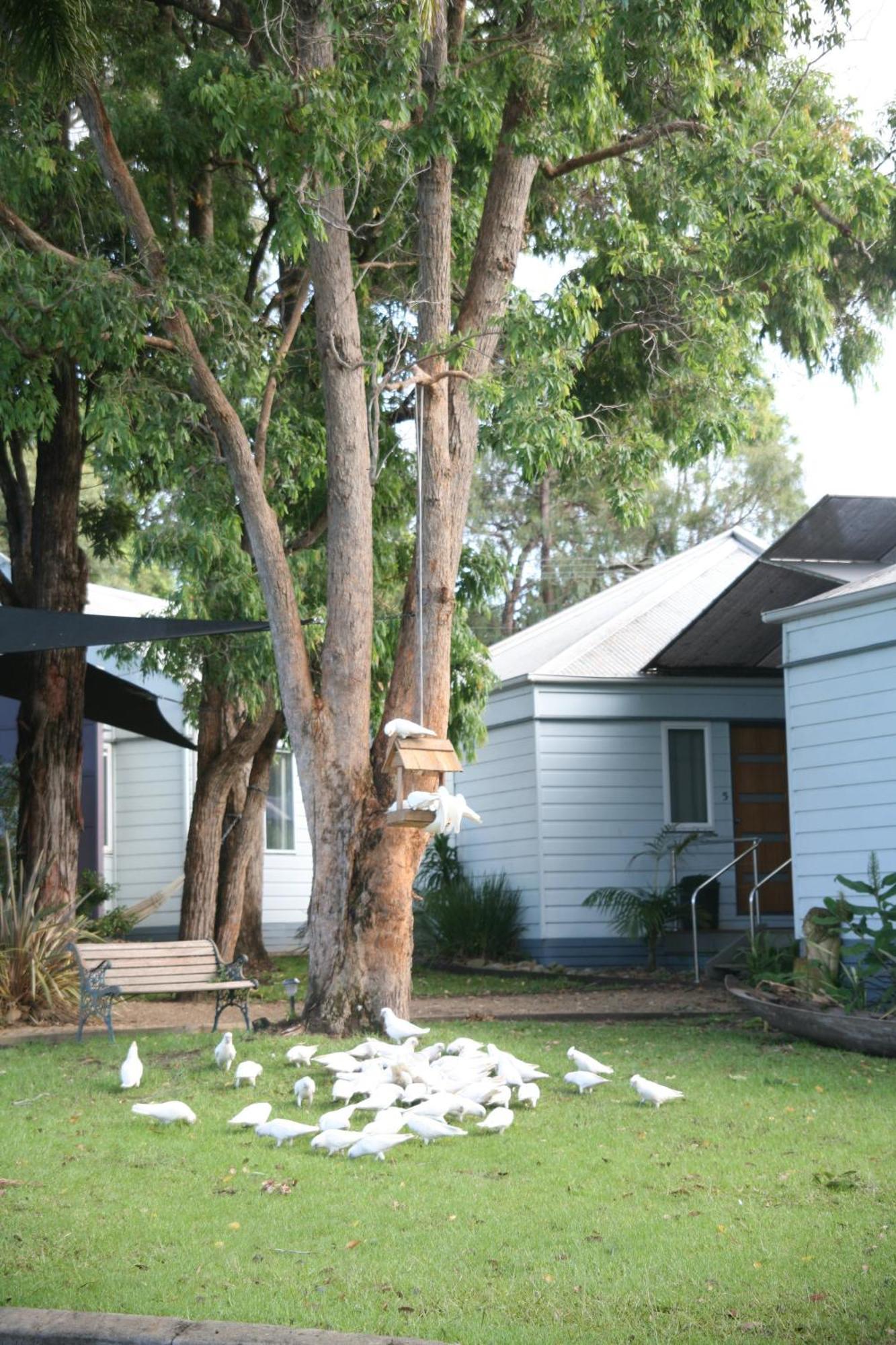 Huskisson Holiday Motel Cabins Exterior photo