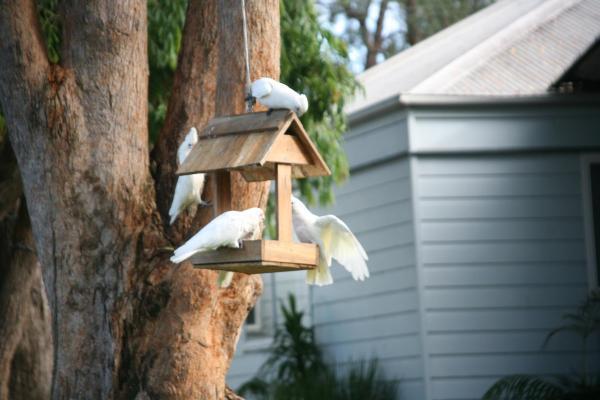 Huskisson Holiday Motel Cabins Exterior photo